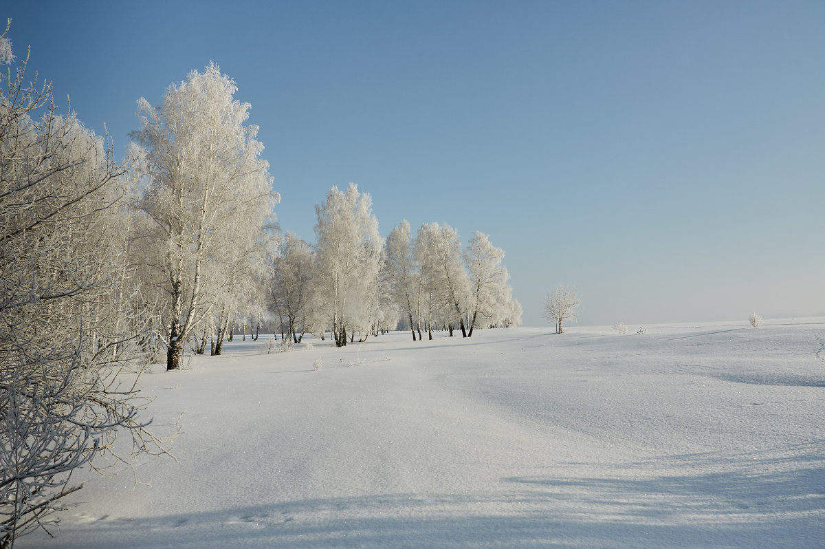 *** - Николай Мальцев *** - Николай Мальцев