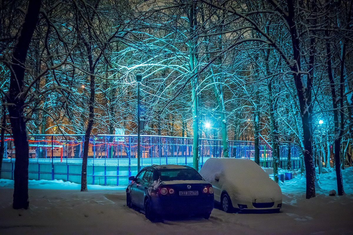 Снегопад в Москве - Игорь Герман