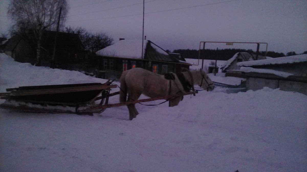 Сумерки в деревне - Владимир Ростовский 