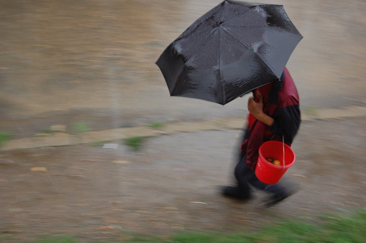 ......А вода по асфальту рекой.. - Николай Сапегин ......А вода по асфальту рекой.. - Николай Сапегин