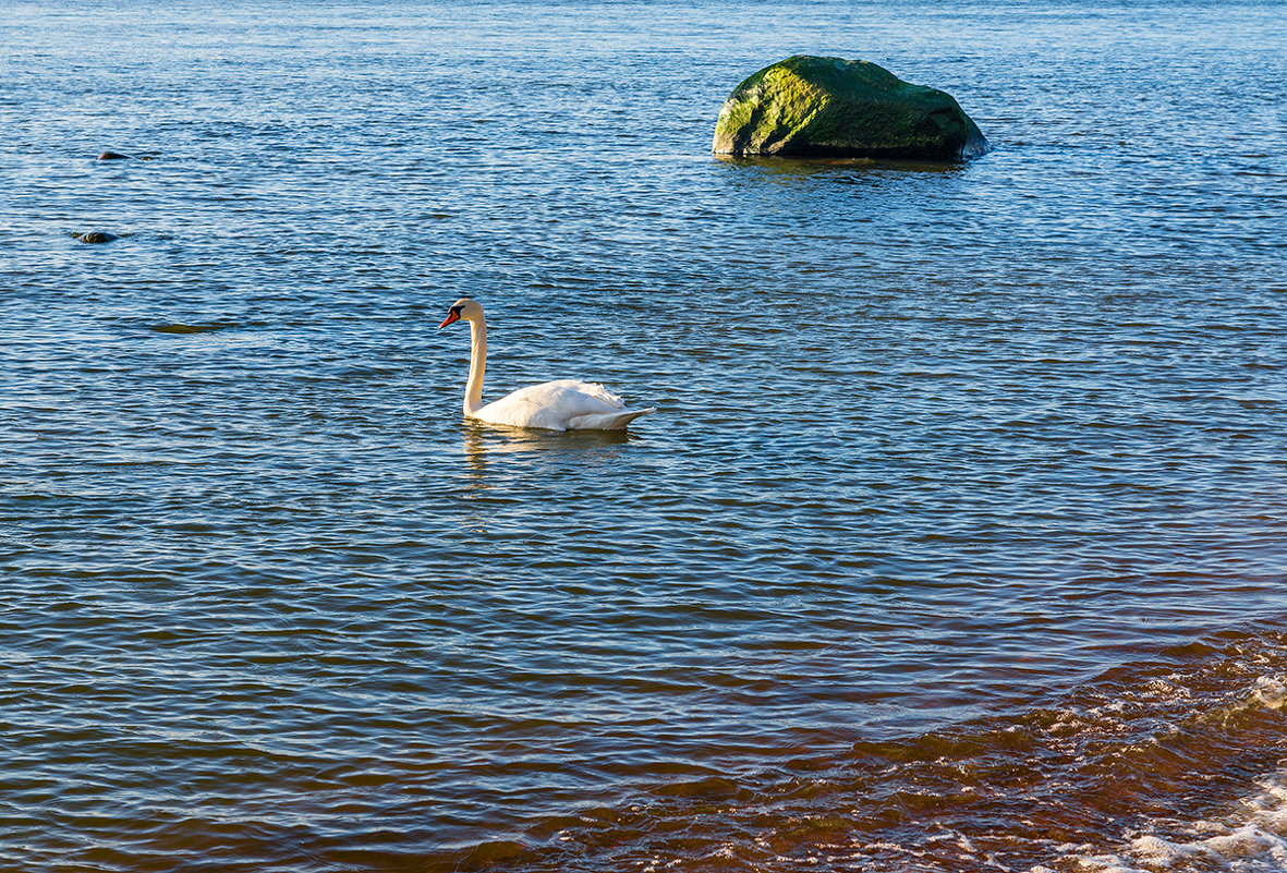 Первый день весны на взморье - Леонид Соболев