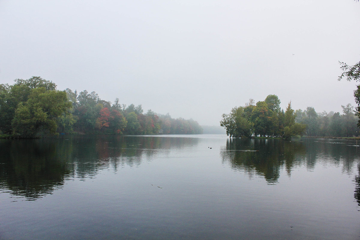 Туманная осень - Алёнка Шапран