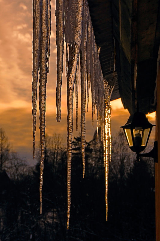 Март . - ALISA LISA