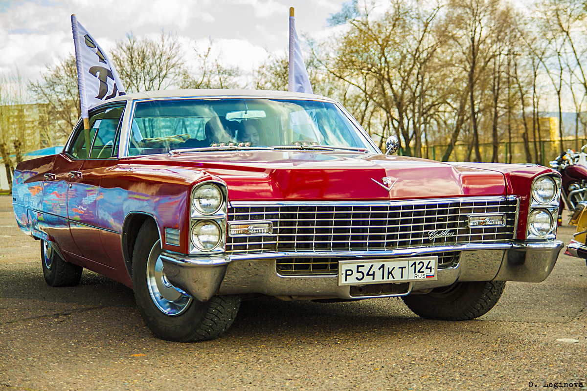 - - Ольга Логинова