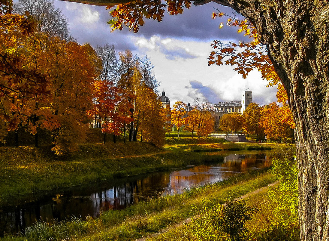 Осень золотая - Рома Григорьев Осень золотая - Рома Григорьев