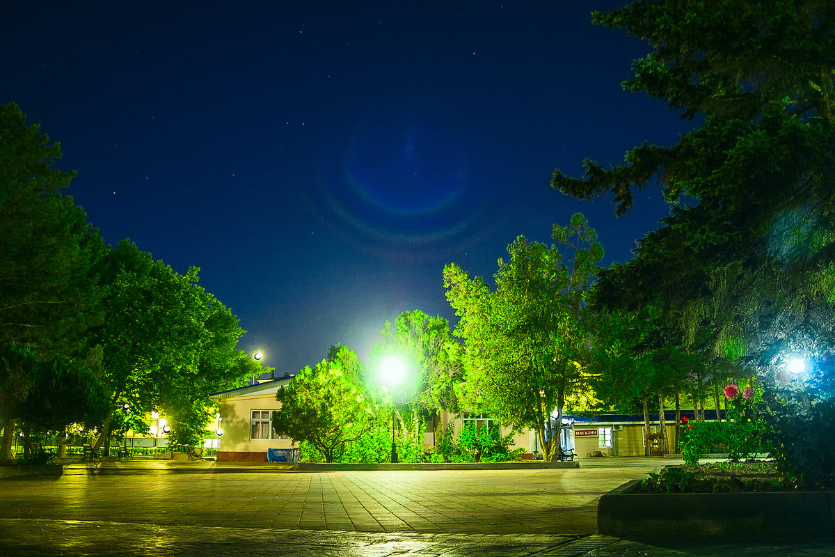 Южная ночь - Дмитрий Костоусов Южная ночь - Дмитрий Костоусов