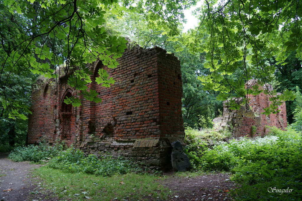 Бальга. На древних развалинах. - Tatiana Golubinskaia