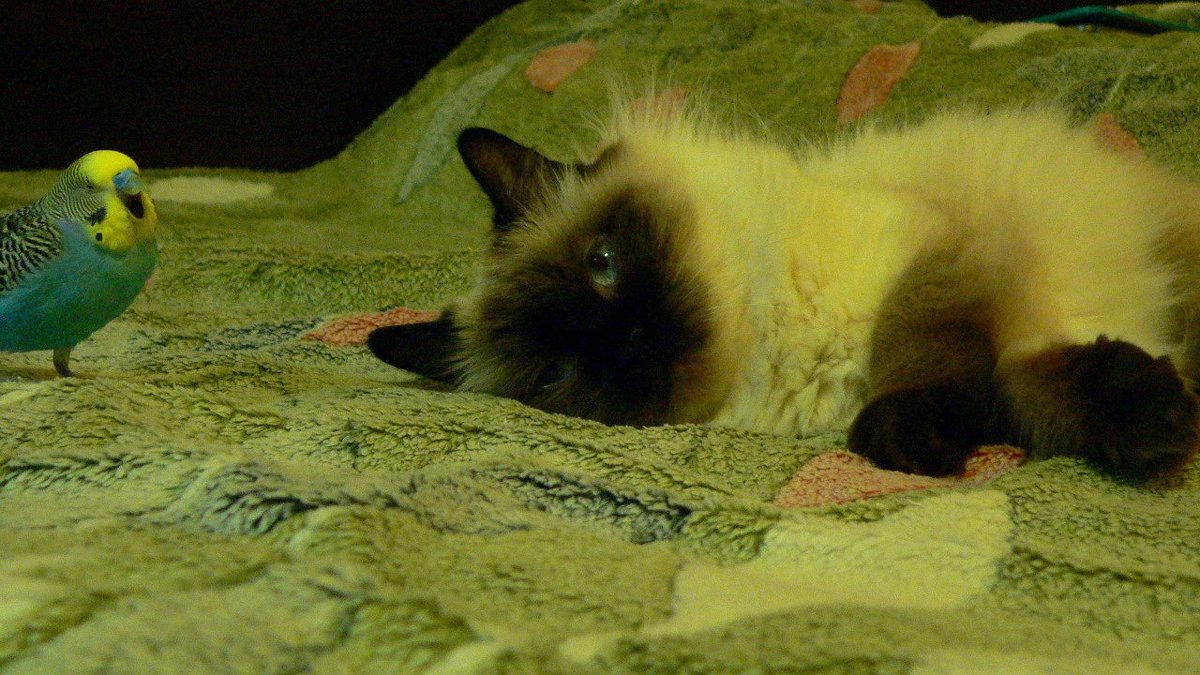 // - Дарья Акимов