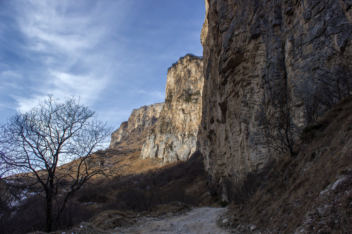 Суканское ущелье   IMG_0520 - Олег Петрушин