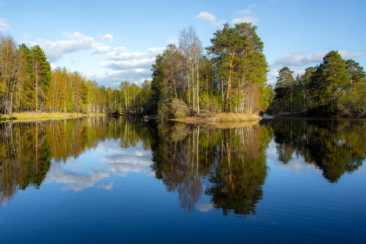 весенняя тишина реки... - Сергей весенняя тишина реки... - Сергей