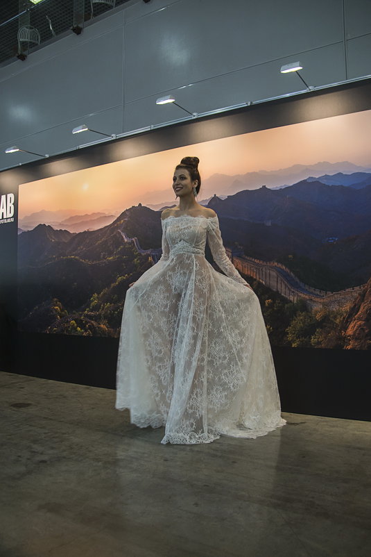 И всё вокруг китайское - Яков Реймер