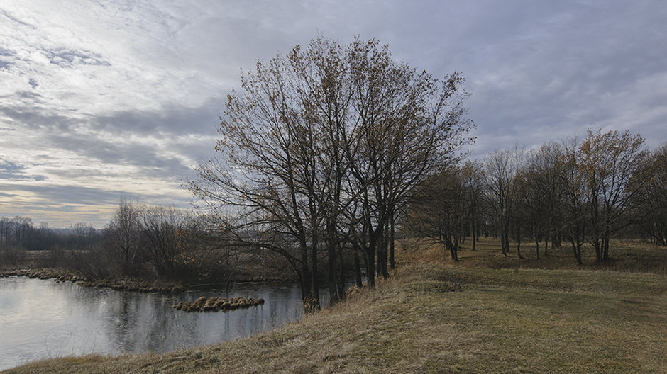 Нижегородчина. Балахнинское направление. - Фёдор Куракин