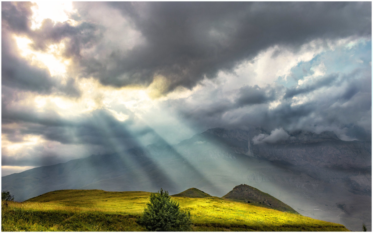 Горная поляна - Олег Стасенко Горная поляна - Олег Стасенко