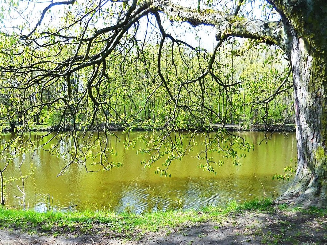 Кусочек озера в апреле - Маргарита Батырева