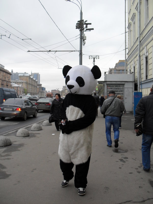 Москва. На Садовом кольце. - Надежда 