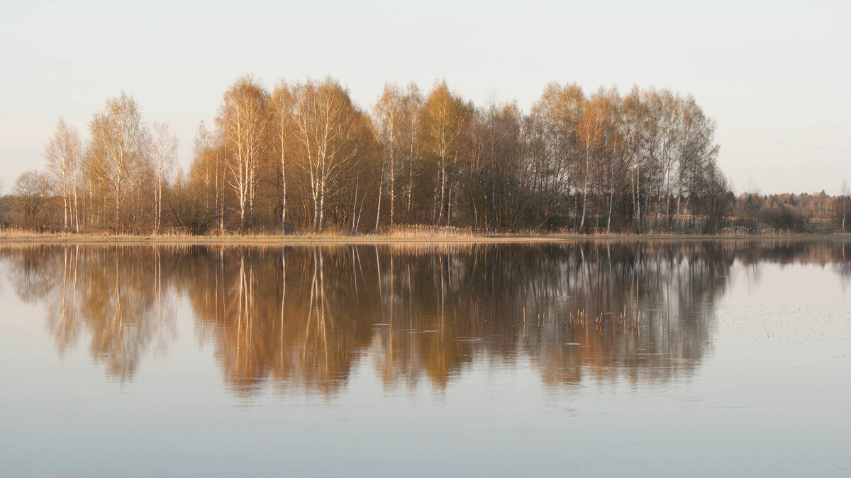 1 - Татьяна Толмачева