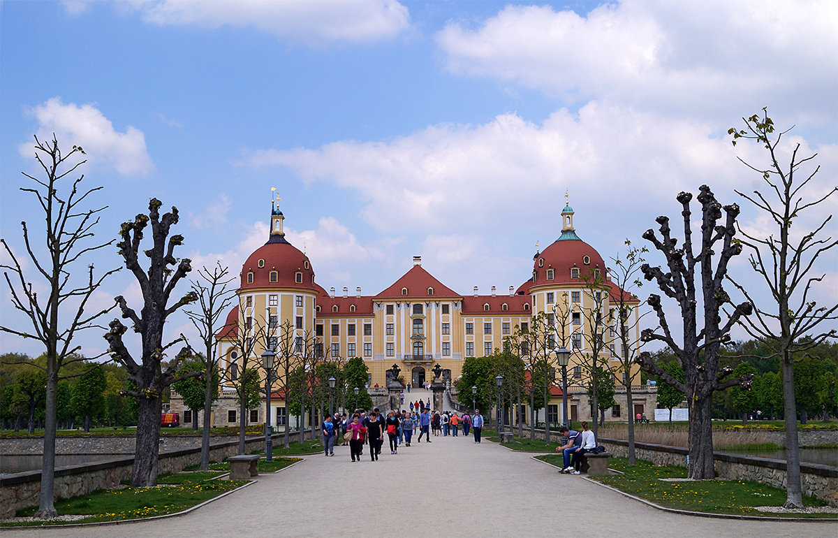 Schloss Moritzburg - Alex 