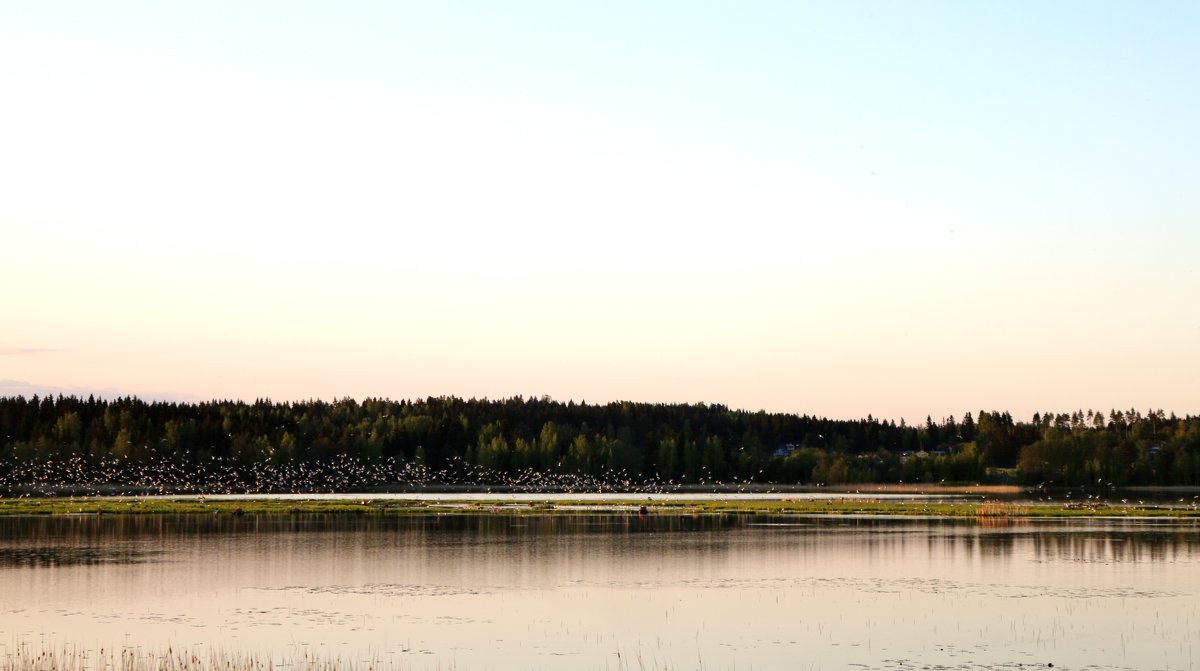 Финское озеро - Евгения К