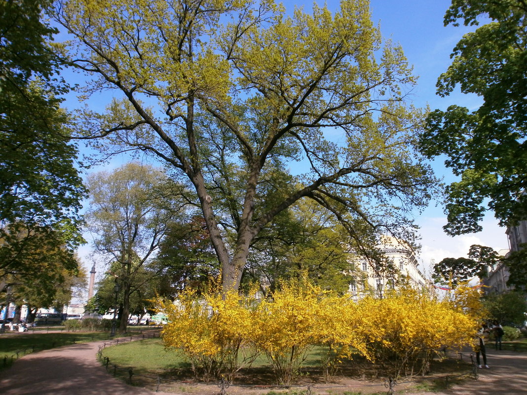 Весенний Петербург - Алёна Савина