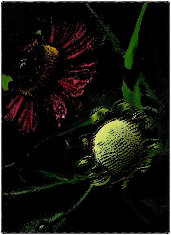 Гелениум - Нина Корешкова Гелениум - Нина Корешкова