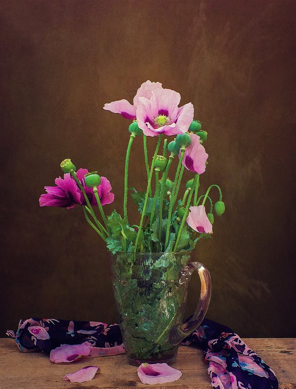 Маки - Надежда Маки - Надежда