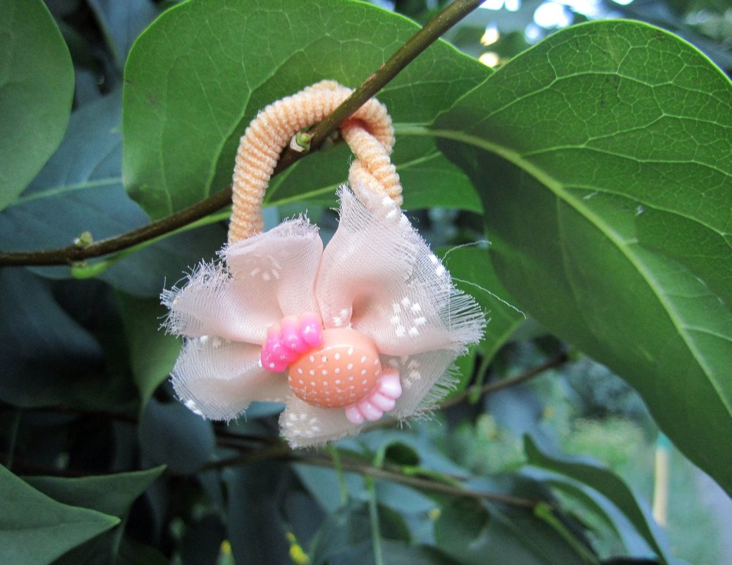 шляпка) - София  