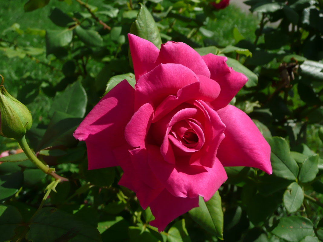 Лето - Владимир Холодницкий