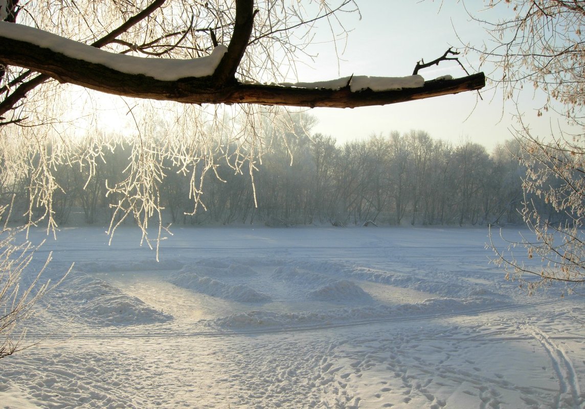 Утро 19_01_2010 в Коломенском - Виталий Купченко