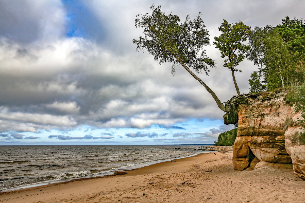 Vidzeme seashore 080916 1 - Arturs Ancans