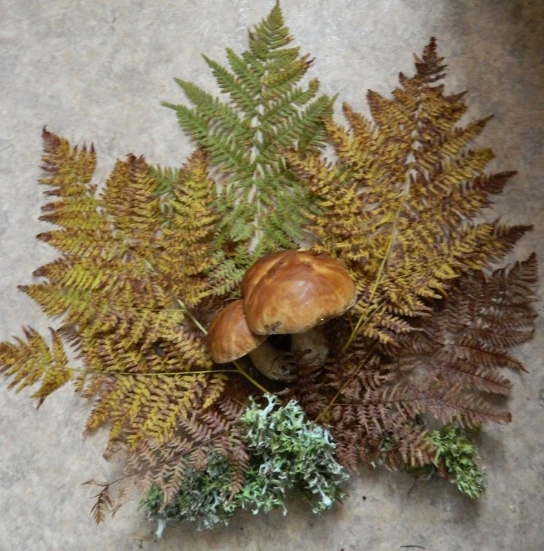 *Украшение осени* - Вячеслав 