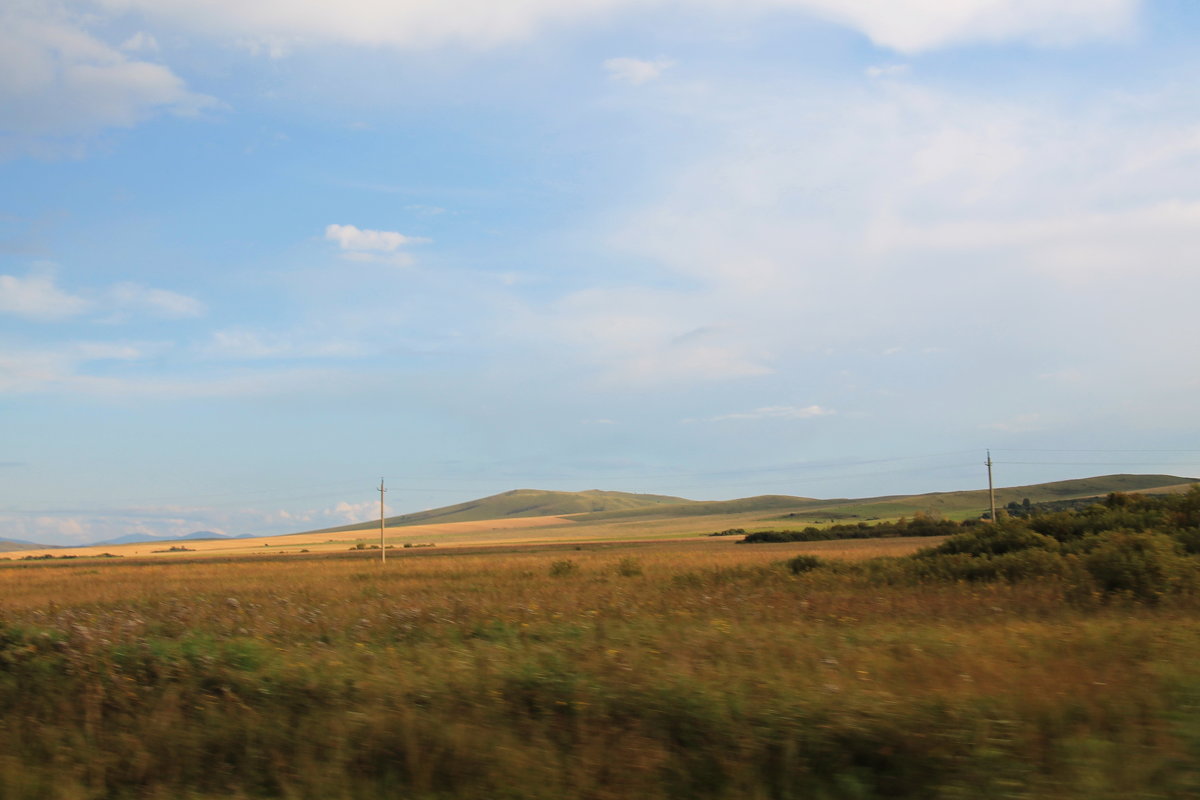 Поля. - Олег Афанасьевич Сергеев