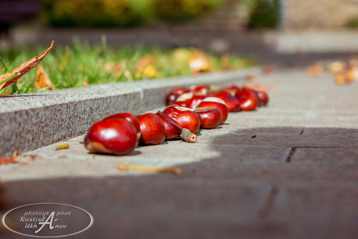 урожай.)) - Ростислав Уханов