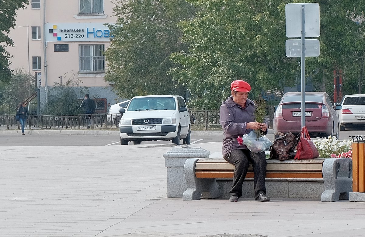 Дармовые семена с городской клумбы - Елена Фалилеева-Диомидова