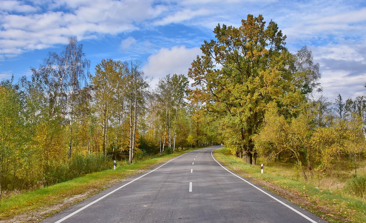 Хороший день... - Валера39 Василевский. Хороший день... - Валера39 Василевский.