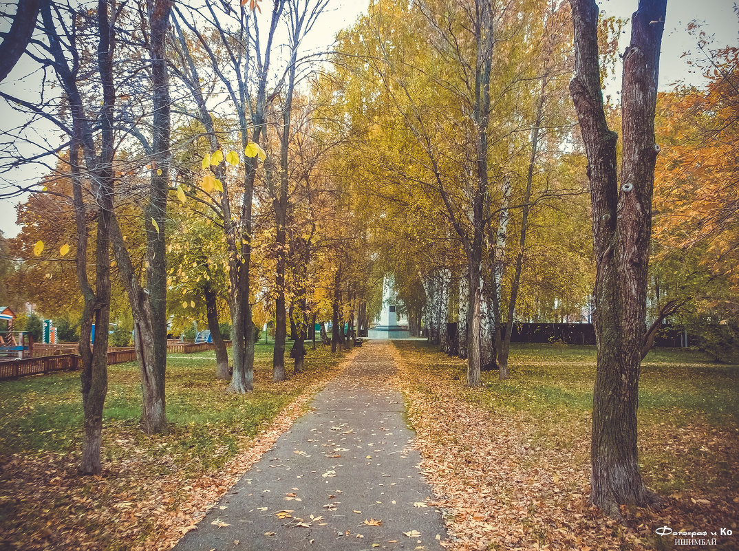 В парке - Вячеслав Баширов