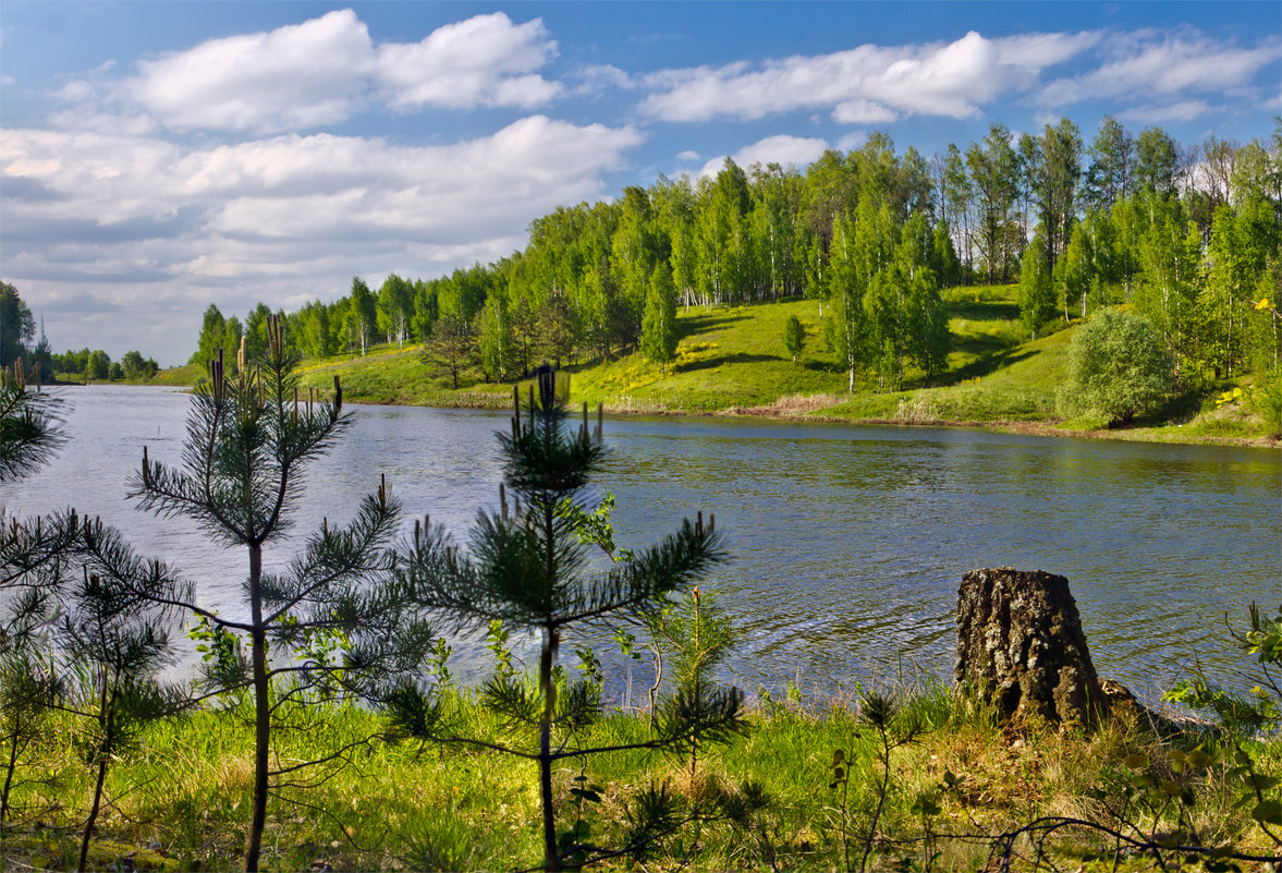 *** - Александр Березуцкий (nevant60)