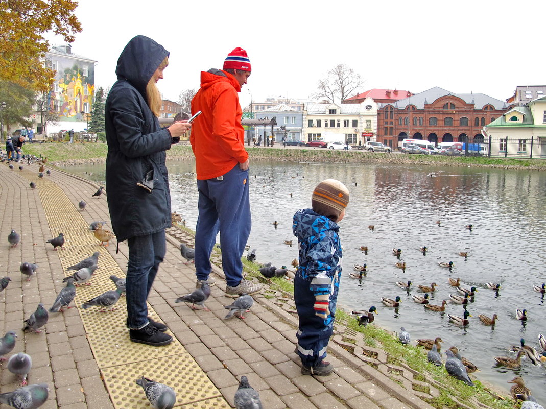 Осень в городе. Кормление птиц. - Ирина Хан