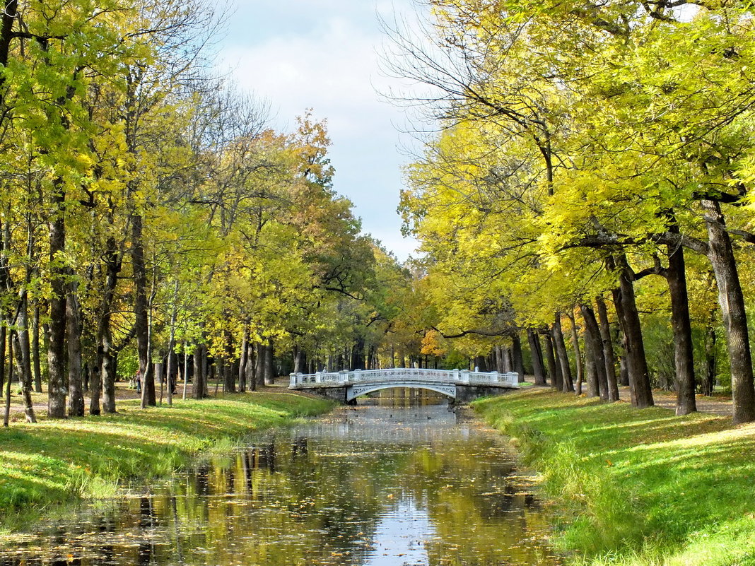 Царское Село. Александровский парк - Николай 