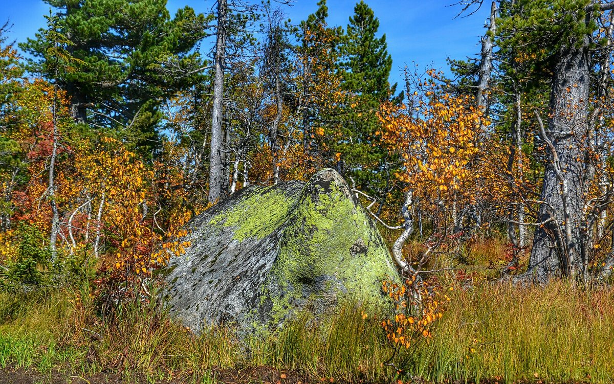 Каменная глыба, похожая на моржа - Милешкин Владимир Алексеевич Каменная глыба, похожая на моржа - Милешкин Владимир Алексеевич