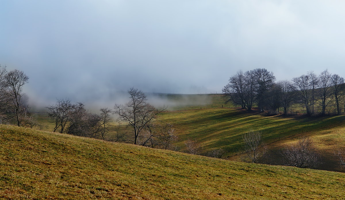 солнце и туман - Elena Wymann солнце и туман - Elena Wymann