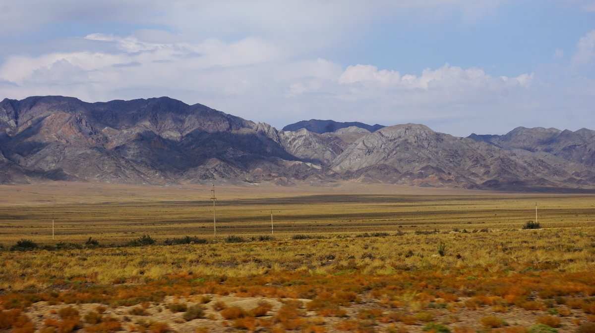 ............... - Murat Bukaev ............... - Murat Bukaev