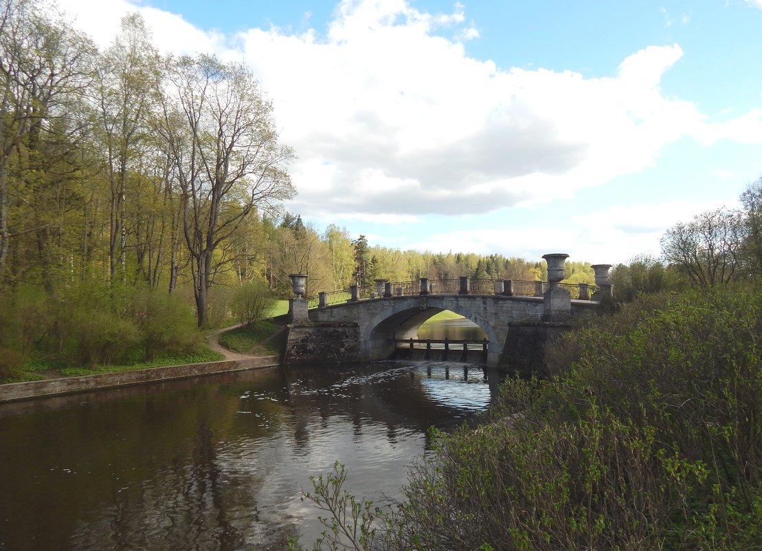 Павловск весной. - Лариса (Phinikia) Двойникова