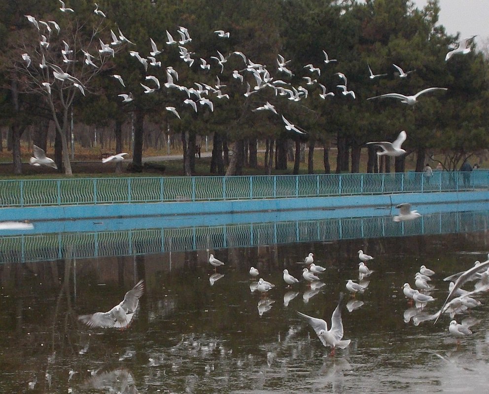 Лед и вода. Второй день зимы - Александр Скамо