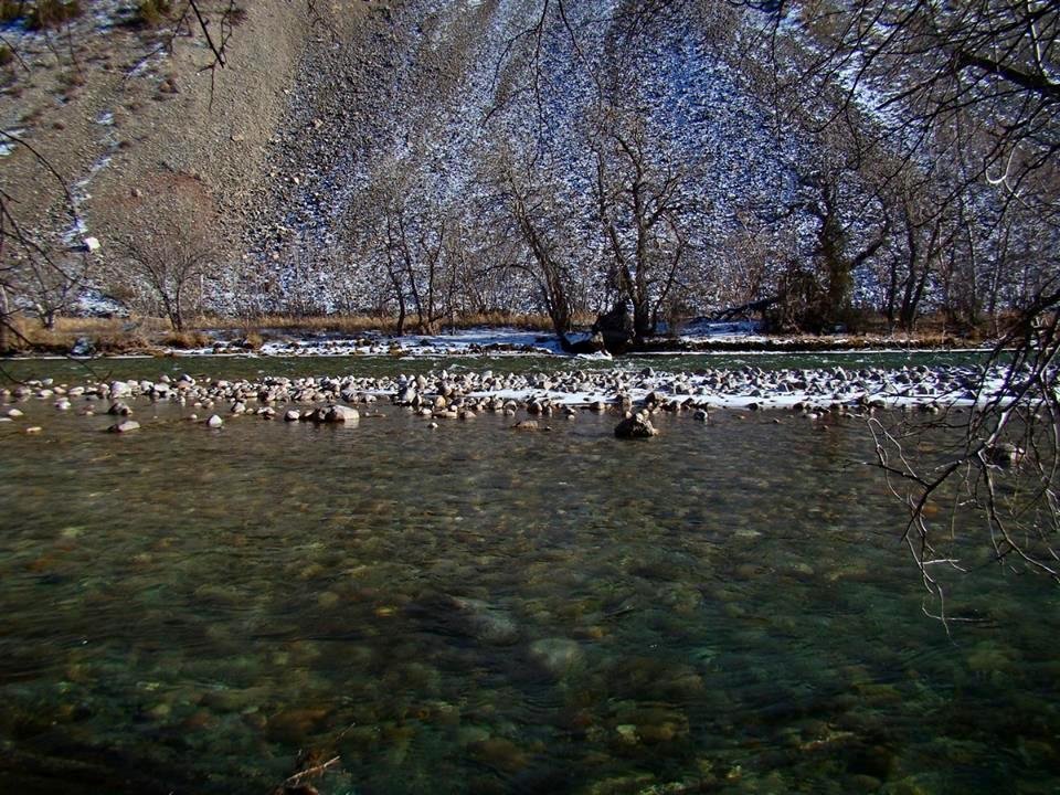 ПРОГУЛКА - Виктор Осипчук