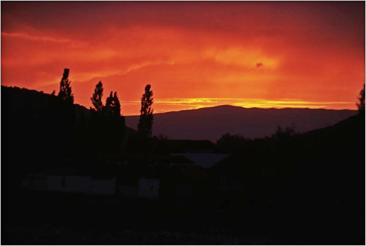 ПРОГУЛКА - Виктор Осипчук ПРОГУЛКА - Виктор Осипчук