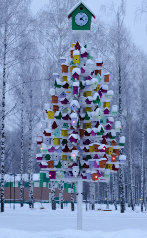 Птичий городок - Андрей Щетинин