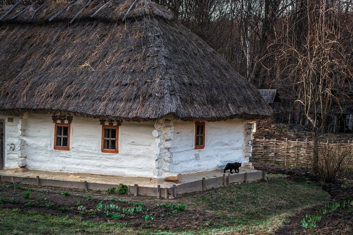 ... - Cлава Украине 