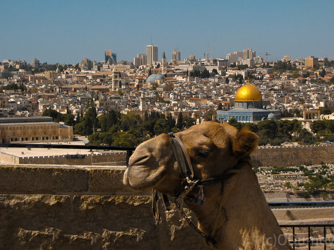Под небом голубым, есть город золотой - Олег Дурнов Под небом голубым, есть город золотой - Олег Дурнов