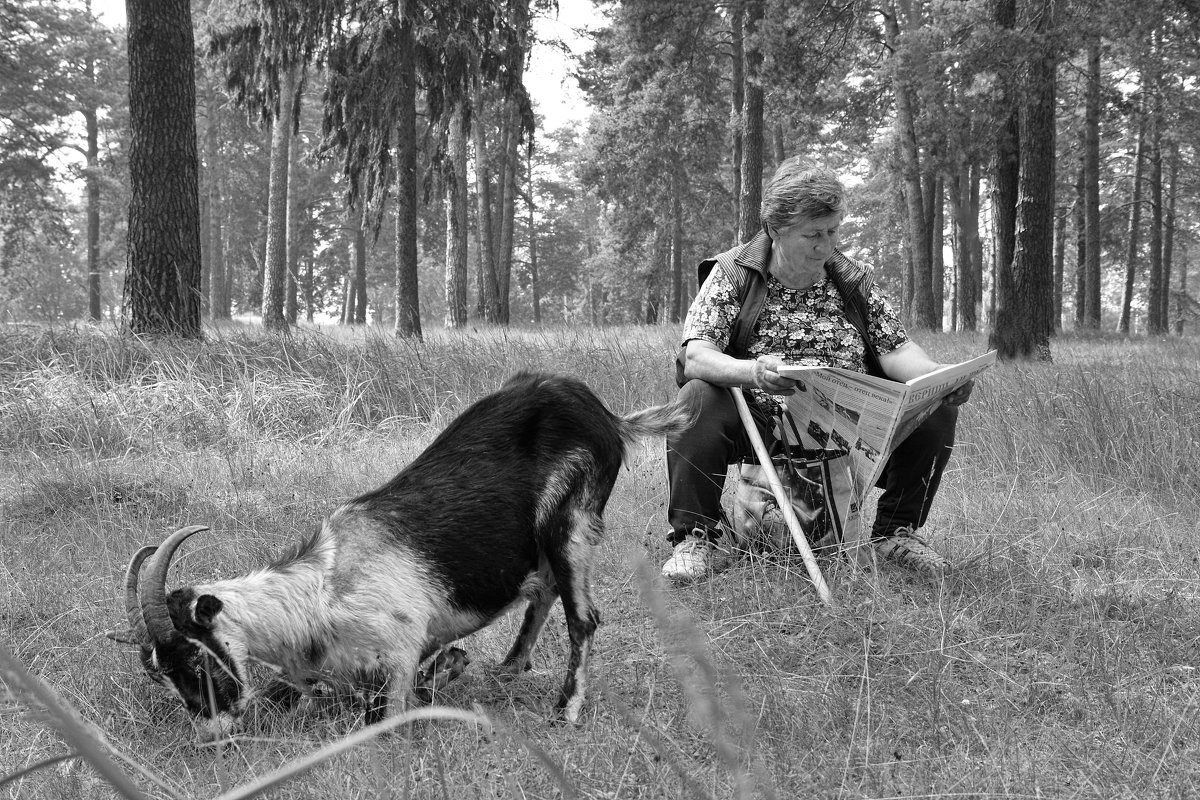 Алёнушка, на коленях прошу, идём домой! - Елена Миронова