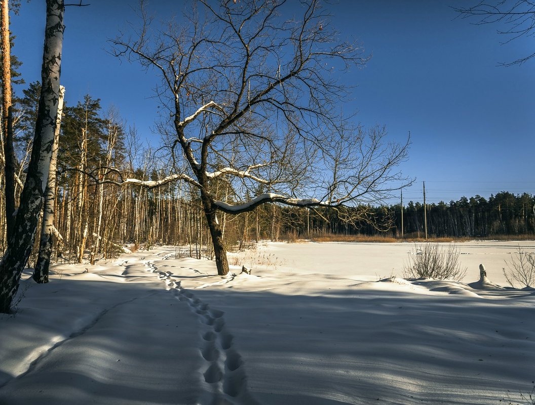 * - Александр Тулупов